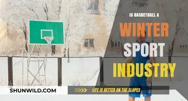 The Basketball Conundrum: Winter Sport or Not?