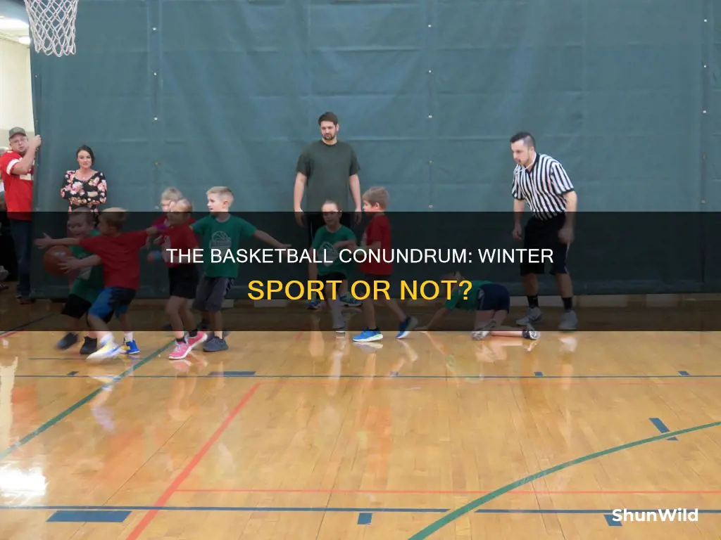 is basketball a winter sport industry