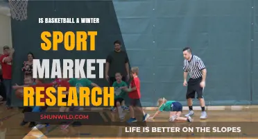 Winter Sports: Basketball's Market Research Insights