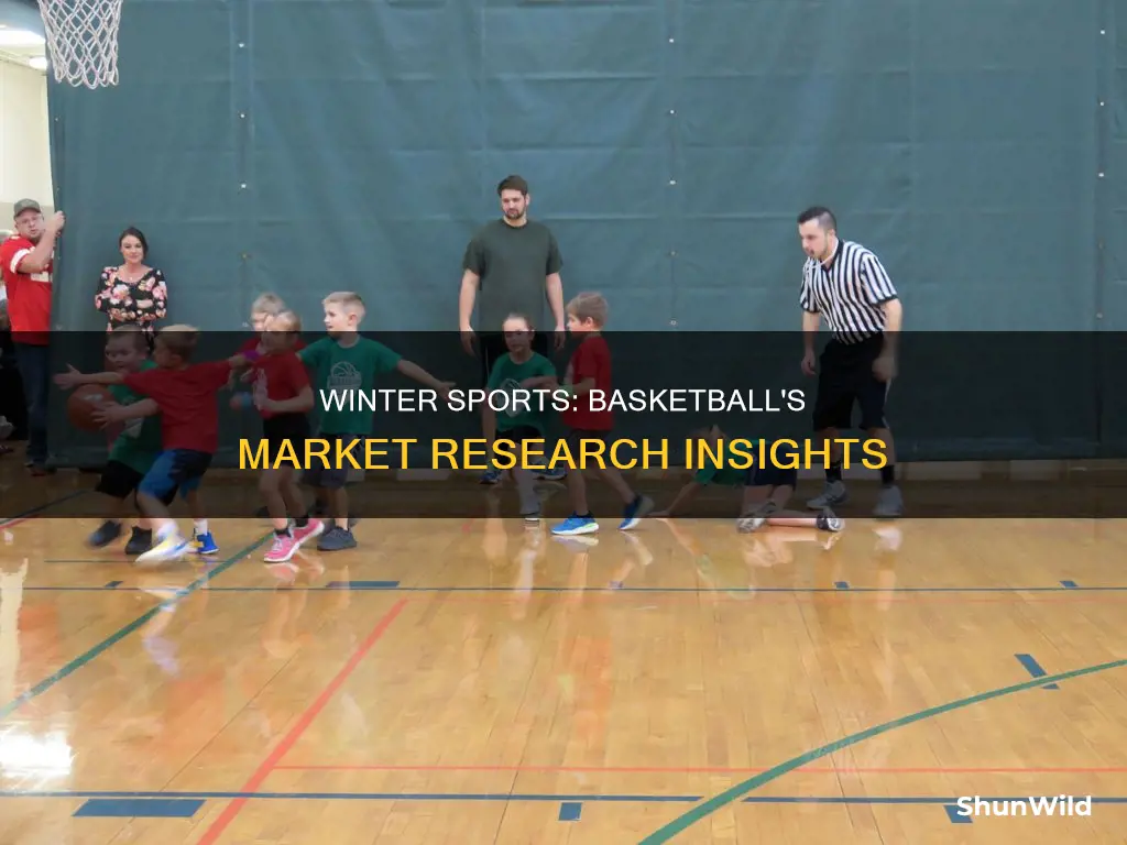 is basketball a winter sport market research