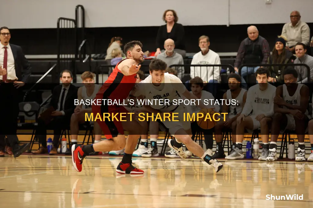 is basketball a winter sport market share