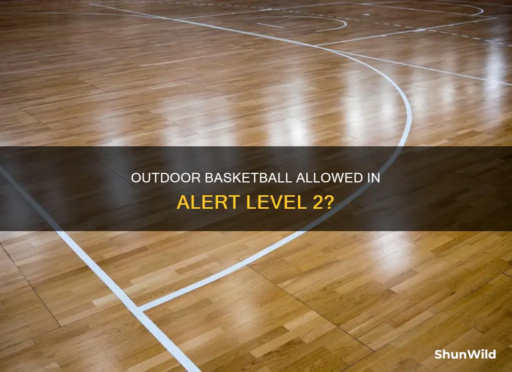 is basketball allowed in alert level 2