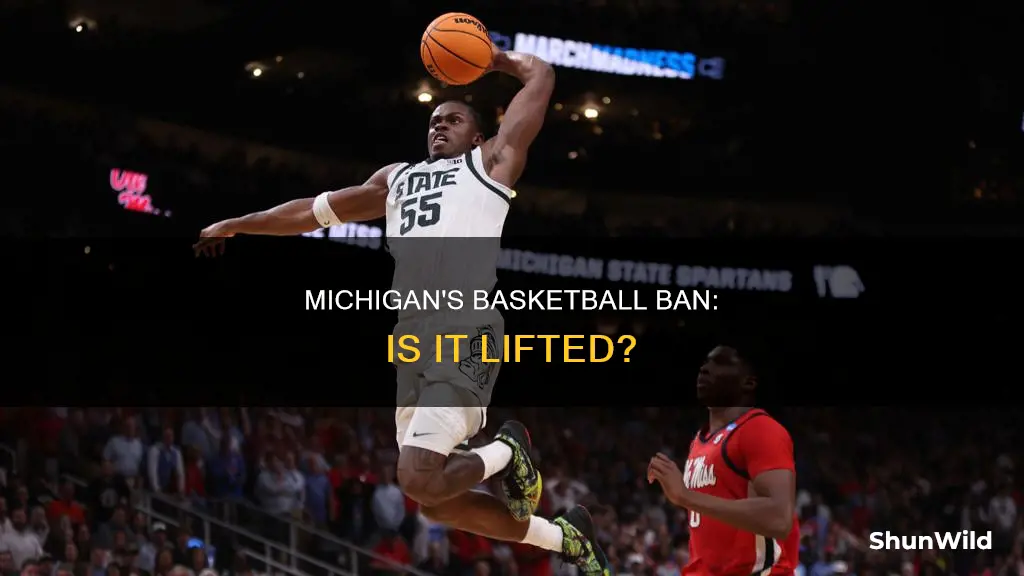 is basketball allowed in michigan