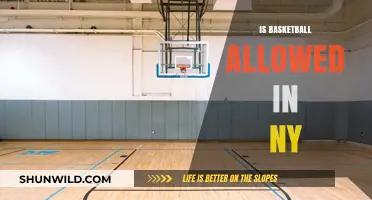 Basketball in NY: What's the Deal?