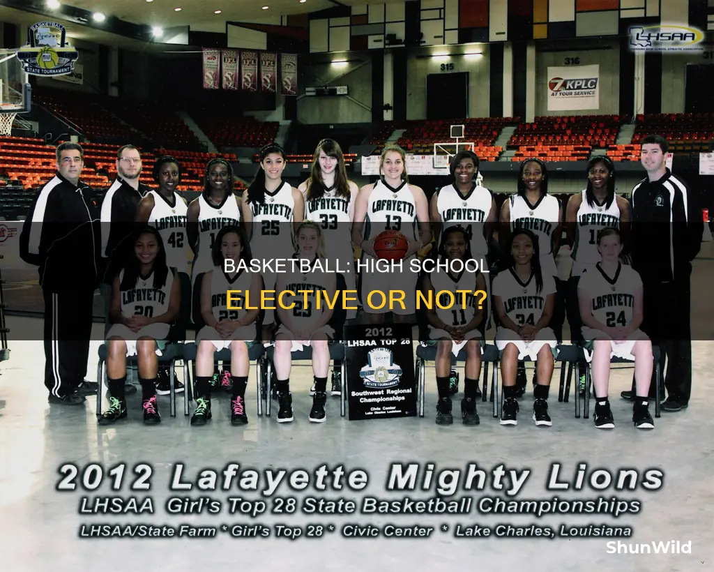 is basketball an elective in highschool