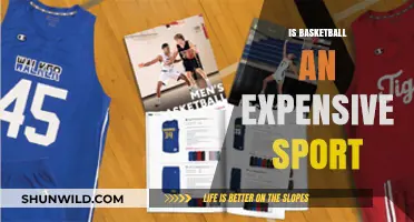 The Cost of Basketball: An Expensive Sport?
