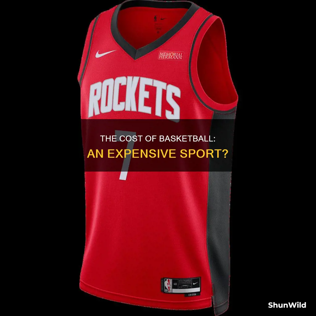 is basketball an expensive sport