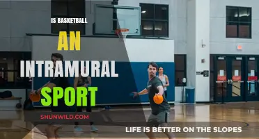 Basketball: Intramural Sport or Not?