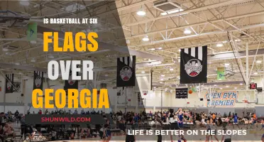 Georgia's Six Flags: Basketball Adventure