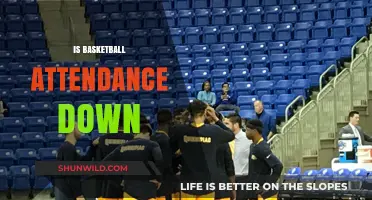 Why Are Basketball Arenas Seeing Fewer Fans?
