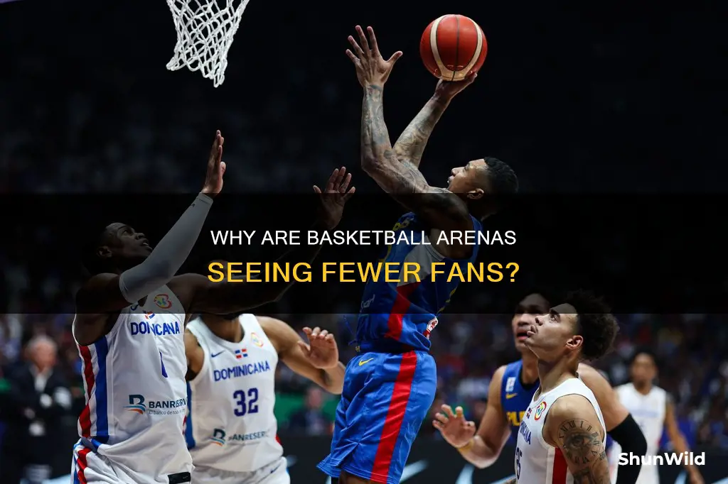 is basketball attendance down