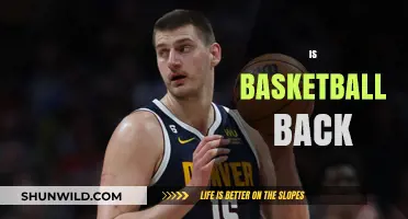 The Resurgence of Basketball: Is it Back for Good?