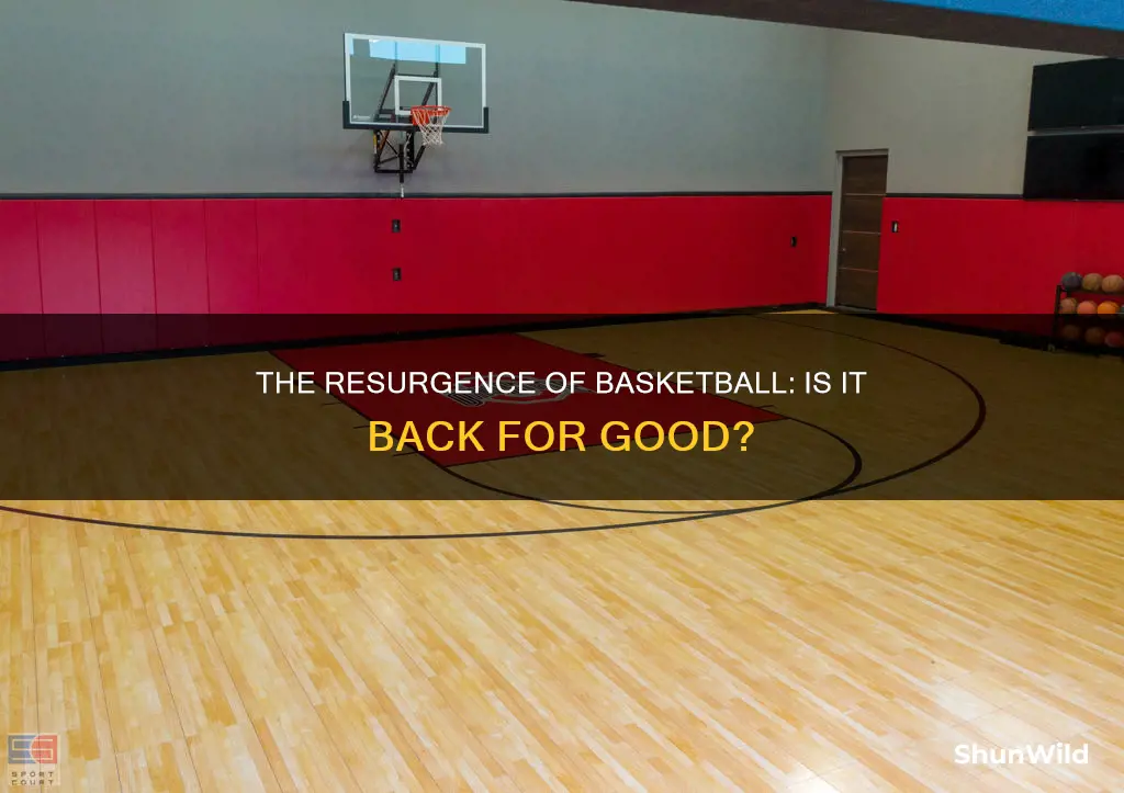 is basketball back