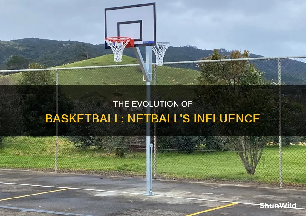 is basketball based on netball