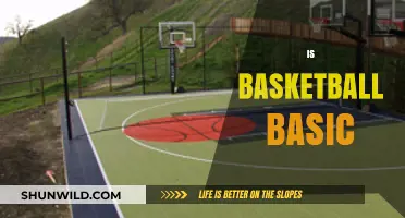 The Fundamentals of Basketball: Simple or Complex?