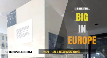 Basketball in Europe: A Rising Sport?