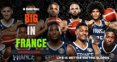 Basketball in France: A Popular Sport?