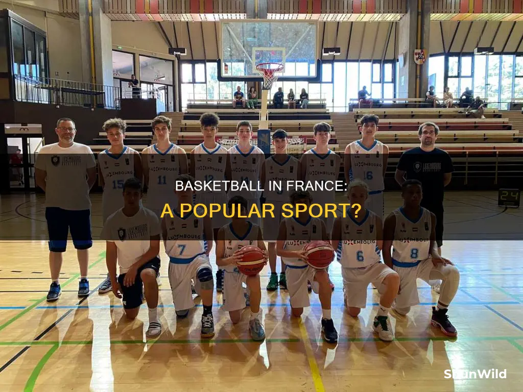 is basketball big in france