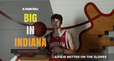 Hoosier Hysteria: Basketball's Deep Roots in Indiana