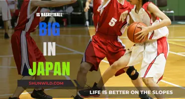 Basketball in Japan: A Rising Sport?