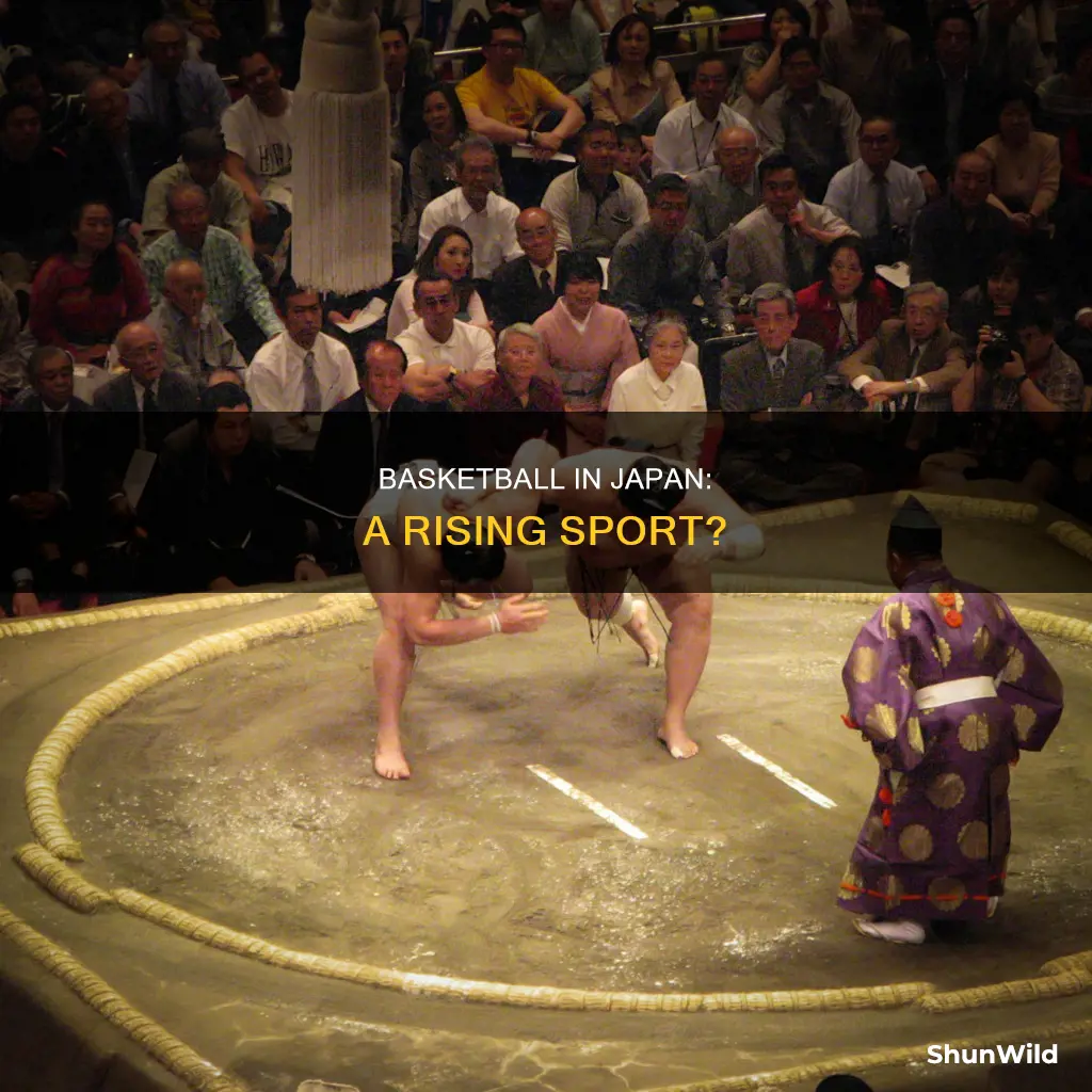 is basketball big in japan