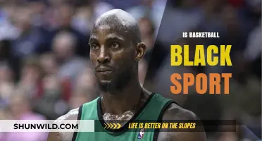 Basketball: Black Sport or Blacklisted?