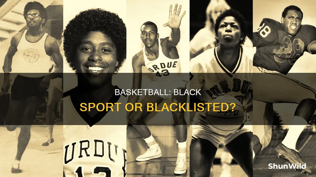 is basketball black sport