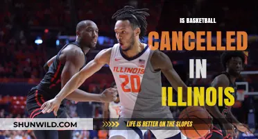 Illinois Basketball: Cancelled or Not?