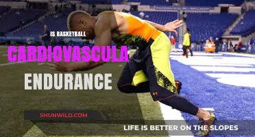 Basketball: A Cardiovascular Workout?