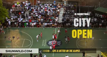 Basketball City: Is the Court in Session?