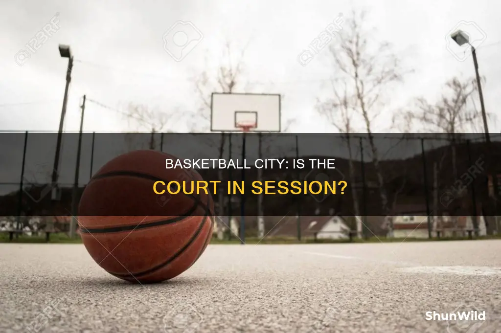 is basketball city open