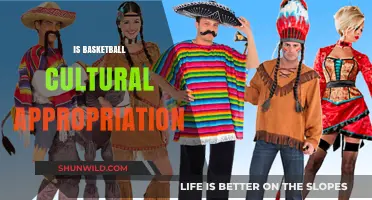 Basketball: Cultural Appropriation or Appreciation?