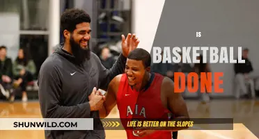 The Evolution of Basketball: What's Next?