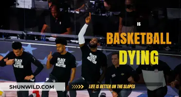 The Future of Basketball: Is It Dying?