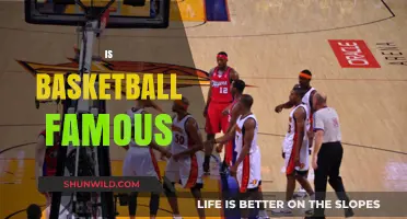 Why Basketball is a Globally Loved Sport