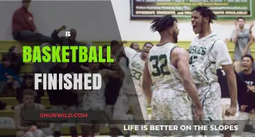 The Evolution of Basketball: Is It Over?