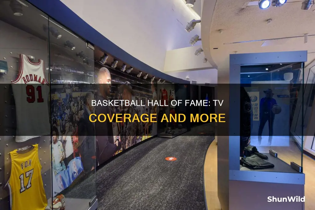 is basketball hall of fame on tv