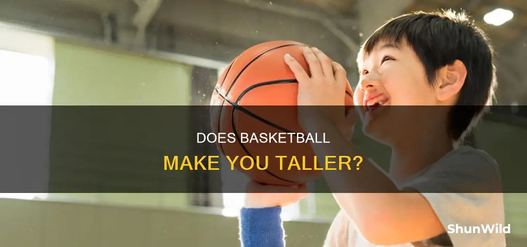 is basketball help you grow taller