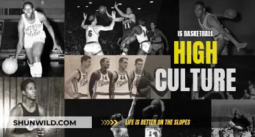 Basketball: High Culture or Just a Game?