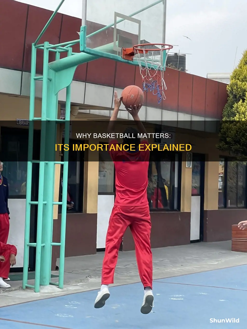 is basketball important