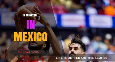 Basketball's Mexican Adventure: A Sport's Cultural Journey