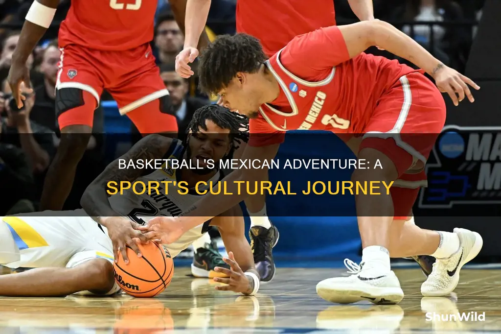 is basketball in mexico