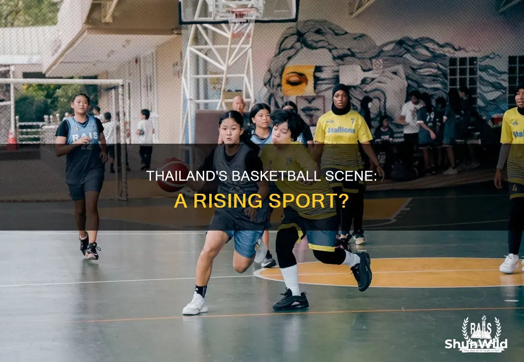is basketball in thailand popular