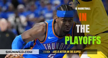 Who's in the Playoffs? Basketball's Finest Face Off