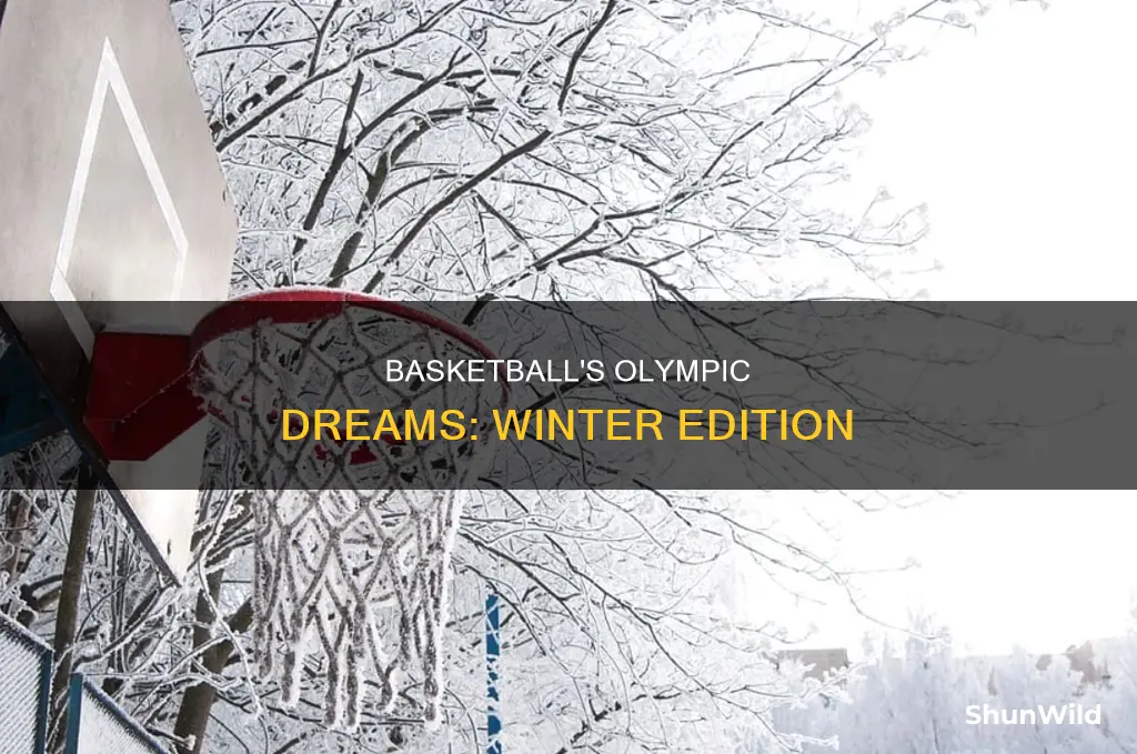is basketball in the winter olympics