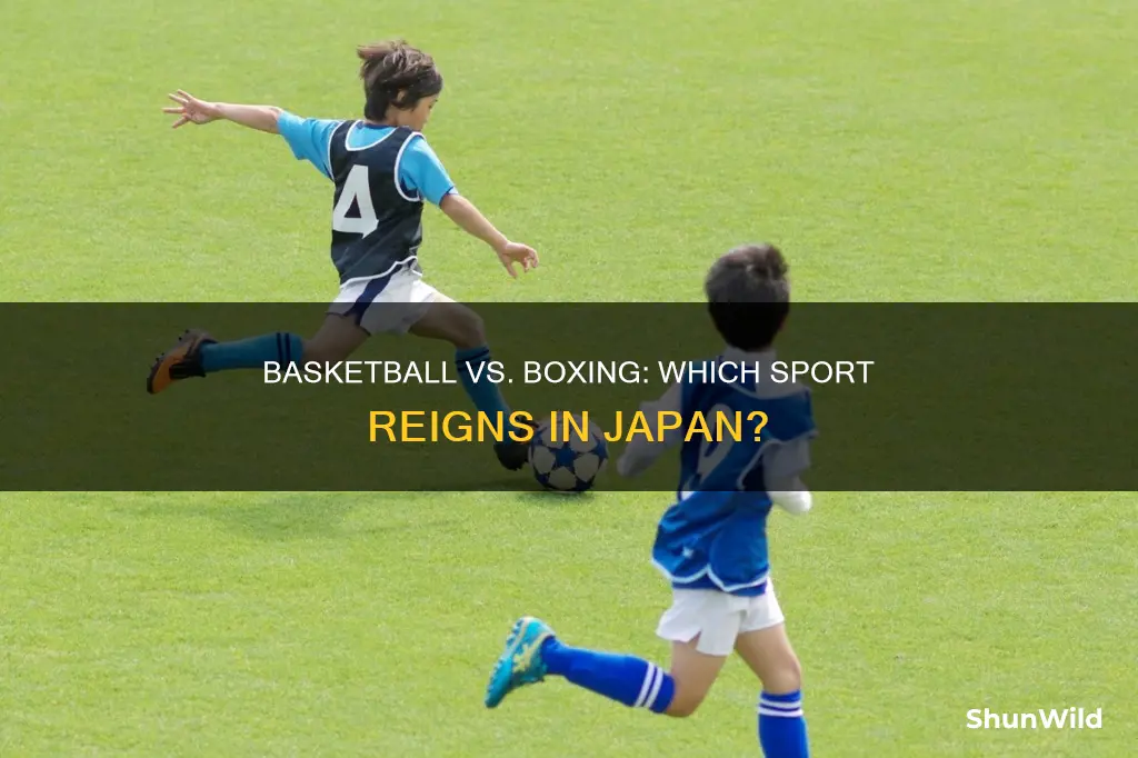 is basketball more popular than boxing in japan