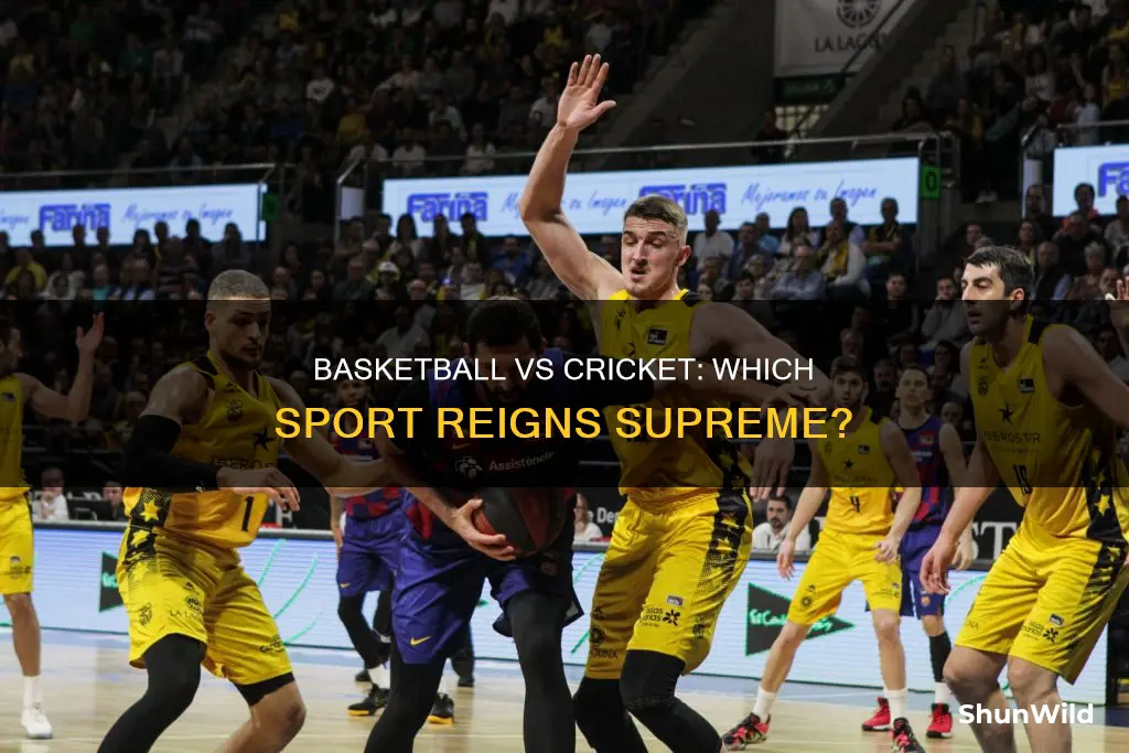 is basketball more popular than cricket