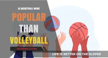 Which Sport Reigns Supreme: Basketball or Volleyball?