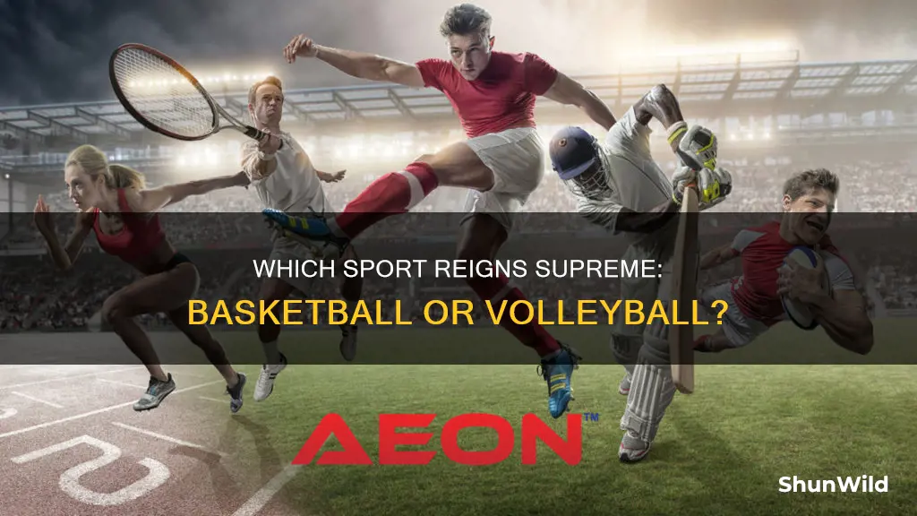 is basketball more popular than volleyball