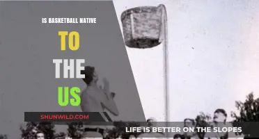 The Origin of Basketball: An American Invention?